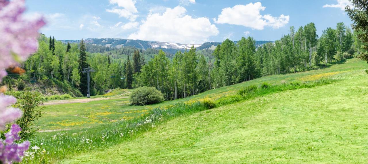 Laurelwood 303 Snowmass Village